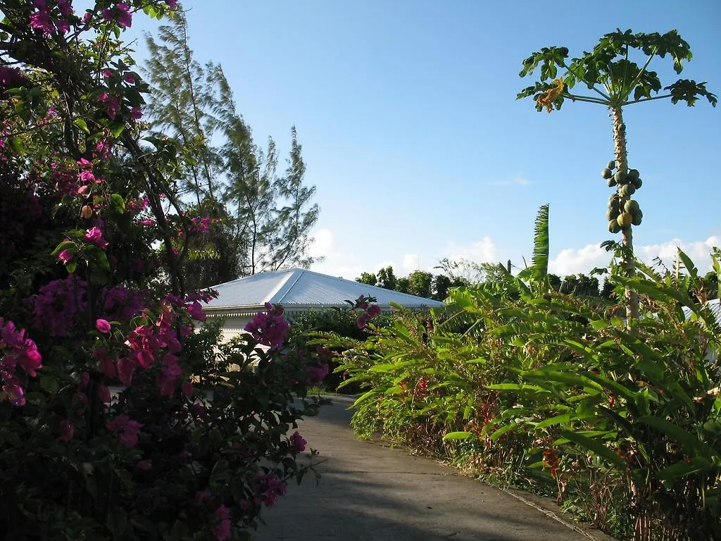 Le Moulin De La Baie Piscine Vue Mer Le Moule Holiday home