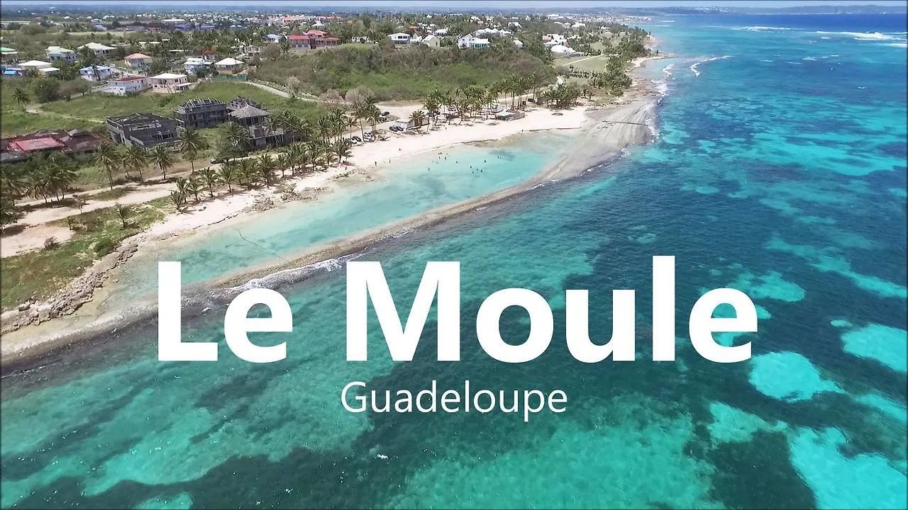 Le Moulin De La Baie Piscine Vue Mer Le Moule Guadeloupe